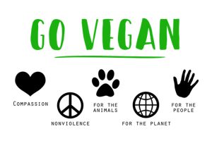 ¿Qué tipo de veganos hay?