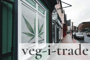 montar un CBD shop en Portugal